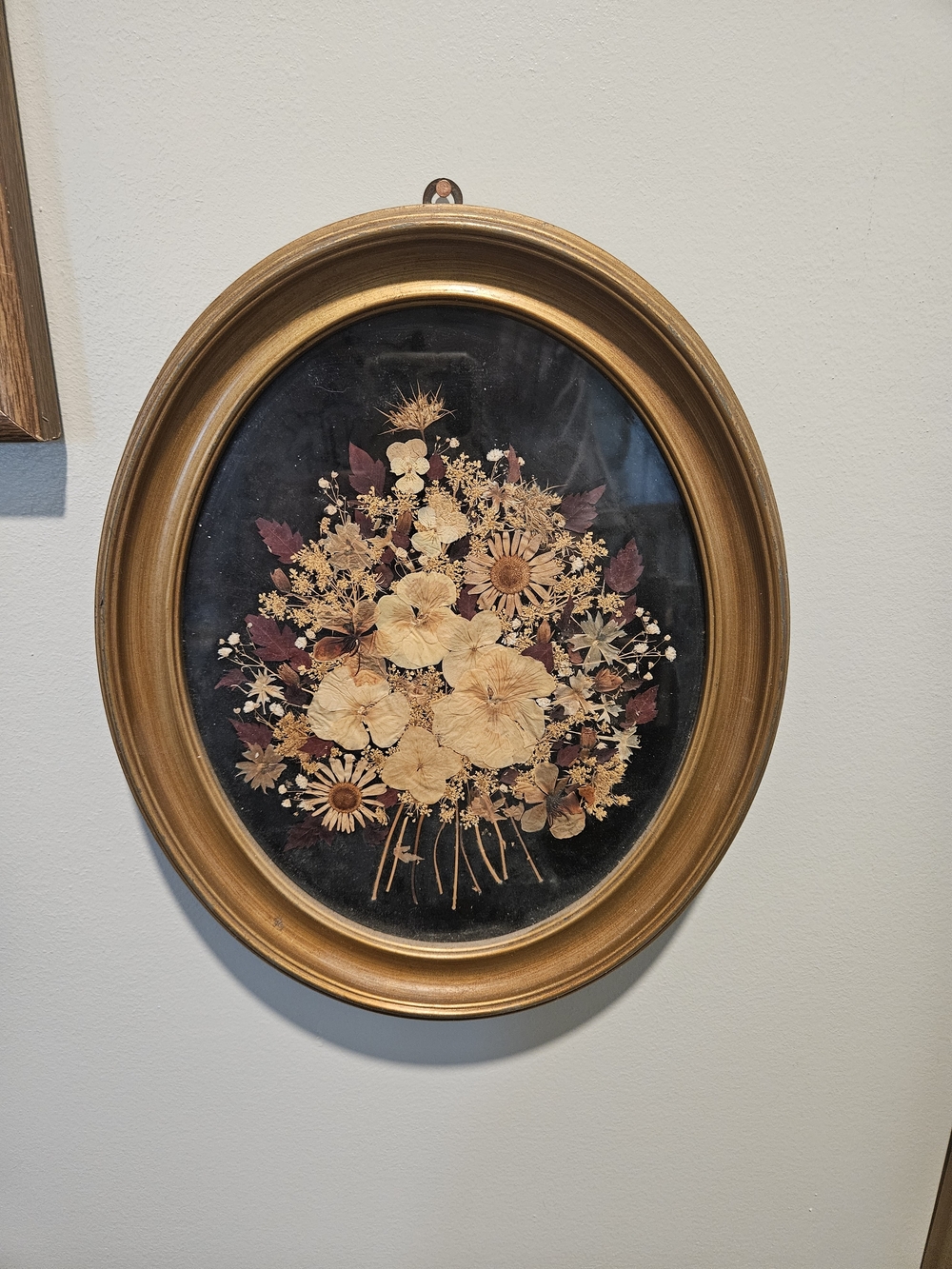 Gold Oval Framed Dried Floral Wall Art